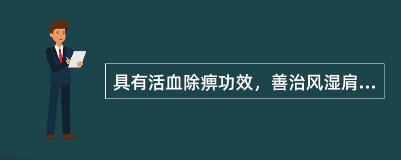 具有活血除痹功效，善治风湿肩臂疼痛的药物是（）