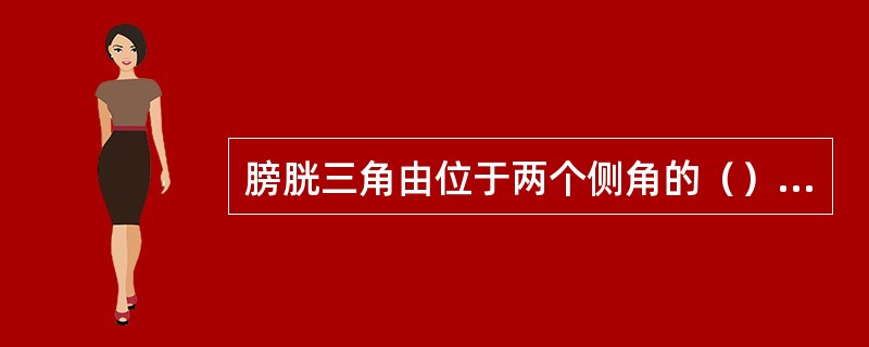 膀胱三角由位于两个侧角的（）和位于下角的（）围成。