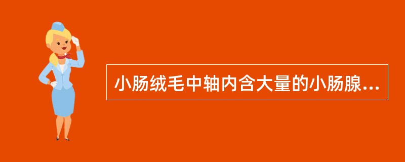 小肠绒毛中轴内含大量的小肠腺和丰富的淋巴细胞。