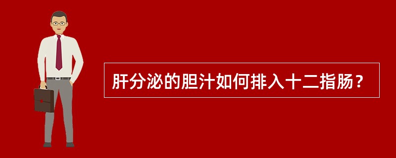 肝分泌的胆汁如何排入十二指肠？