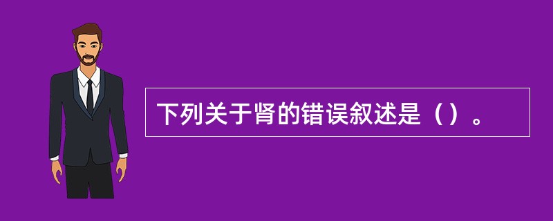 下列关于肾的错误叙述是（）。