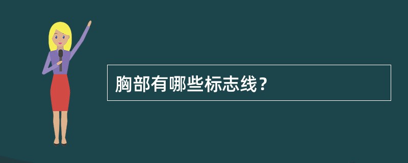 胸部有哪些标志线？