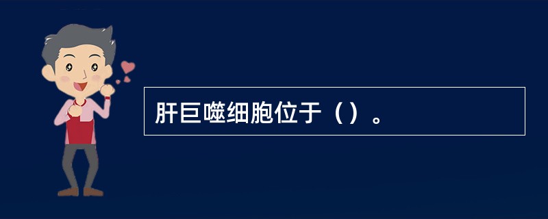 肝巨噬细胞位于（）。