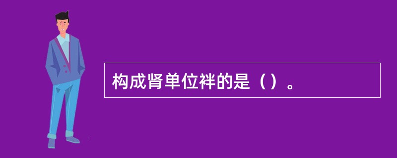 构成肾单位袢的是（）。