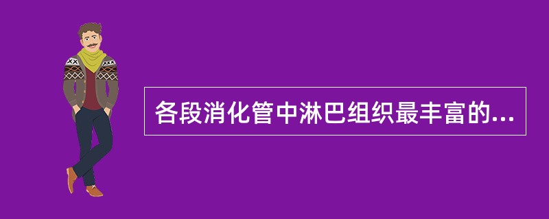 各段消化管中淋巴组织最丰富的是（）。