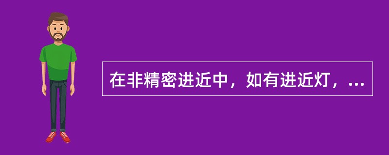 在非精密进近中，如有进近灯，应规定的目视参考应当包括（）.