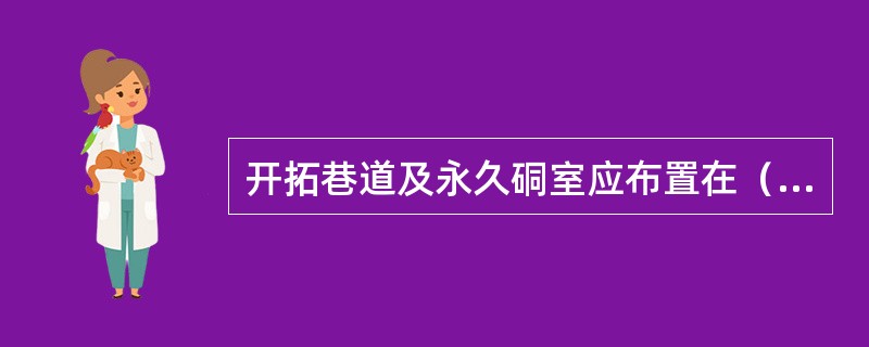 开拓巷道及永久硐室应布置在（）中。