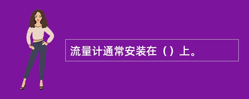 流量计通常安装在（）上。