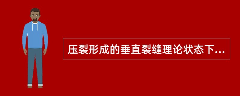 压裂形成的垂直裂缝理论状态下，是（）。