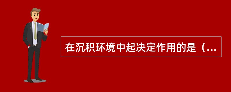 在沉积环境中起决定作用的是（）条件。