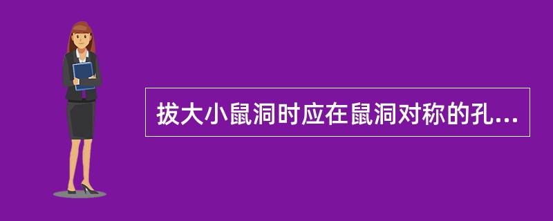 拔大小鼠洞时应在鼠洞对称的孔内穿入（）。