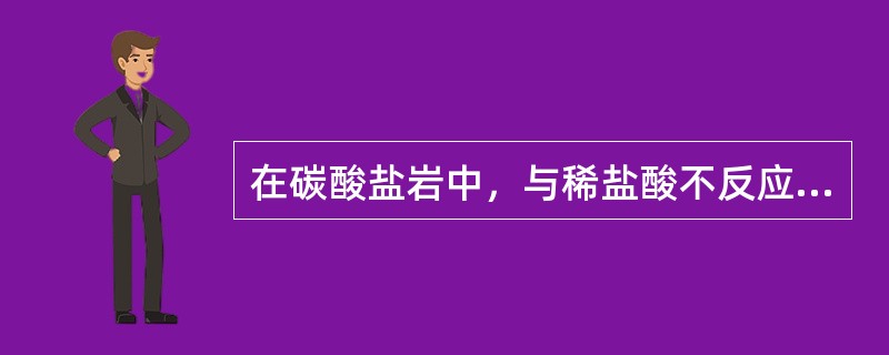 在碳酸盐岩中，与稀盐酸不反应，且小刀刻划不动的岩样可能是（）。