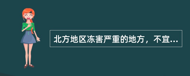 北方地区冻害严重的地方，不宜（）造林。