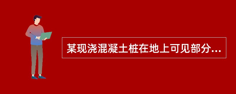 某现浇混凝土桩在地上可见部分有蜂窝麻面，但经过桩基检测，桩身未见异常，承载力也满
