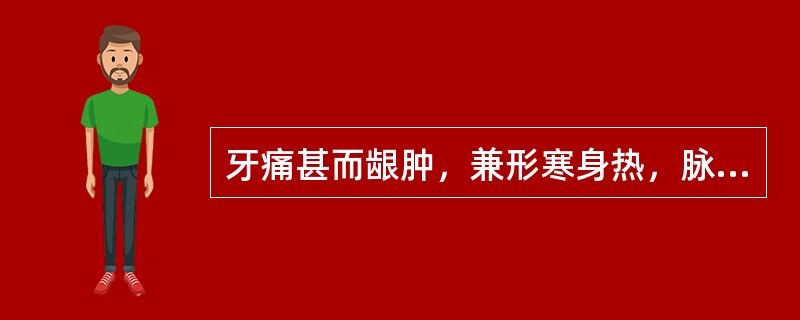 牙痛甚而龈肿，兼形寒身热，脉浮数者，除取合谷、颊车、内庭、下关穴外，还宜加（）。