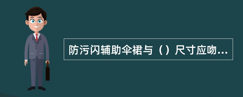 防污闪辅助伞裙与（）尺寸应吻合良好。