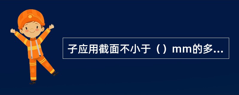 子应用截面不小于（）mm的多股铜线和接地铜排相连。接地铜排应用截面不小于（）mm