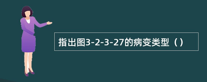 指出图3-2-3-27的病变类型（）