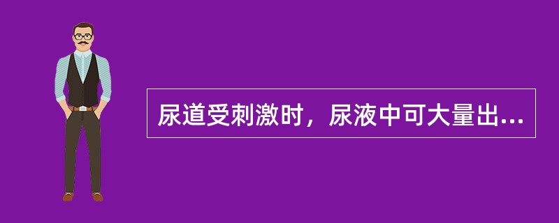 尿道受刺激时，尿液中可大量出现（）。