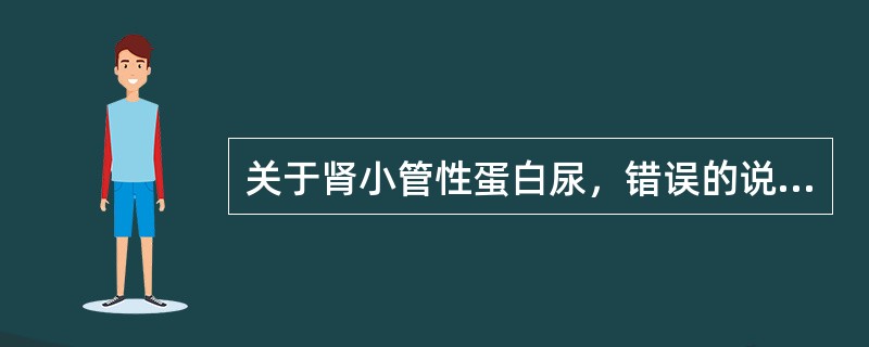 关于肾小管性蛋白尿，错误的说法是（）。