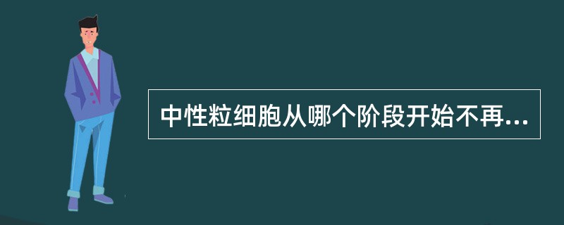 中性粒细胞从哪个阶段开始不再具有分裂能力（）。