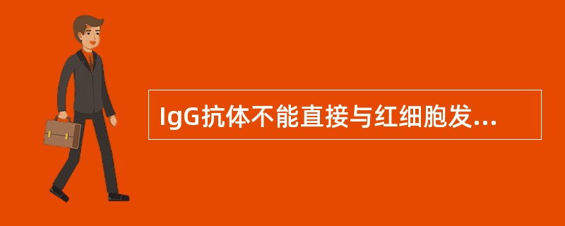 IgG抗体不能直接与红细胞发生凝集反应的主要原因是（）。