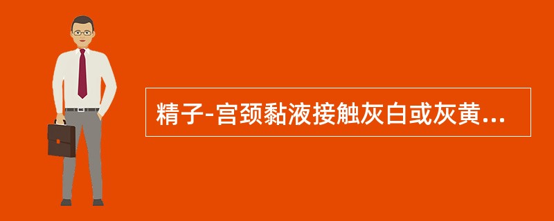 精子-宫颈黏液接触灰白或灰黄色，稀薄，味腥臭，提示为（）。