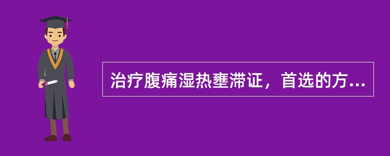 治疗腹痛湿热壅滞证，首选的方剂是（）