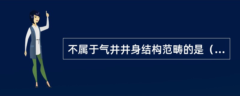 不属于气井井身结构范畴的是（）。