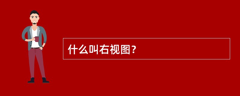 什么叫右视图？