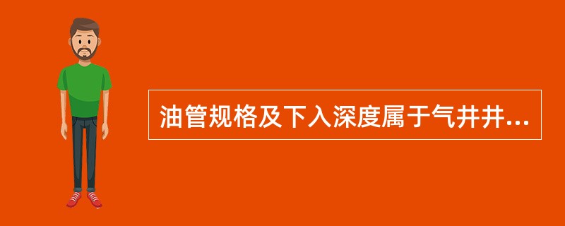 油管规格及下入深度属于气井井身结构范畴。