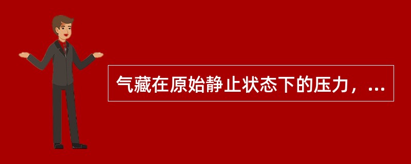 气藏在原始静止状态下的压力，即气藏刚被打开时的压力，称为（）。