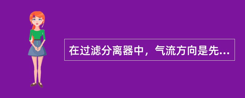 在过滤分离器中，气流方向是先经过捕雾网、再经过滤芯。