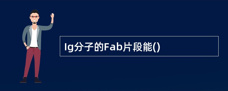 Ig分子的Fab片段能()