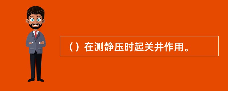 （）在测静压时起关井作用。
