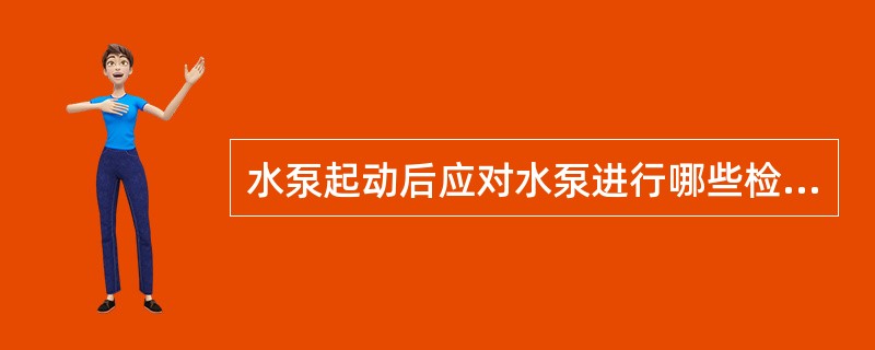 水泵起动后应对水泵进行哪些检查？