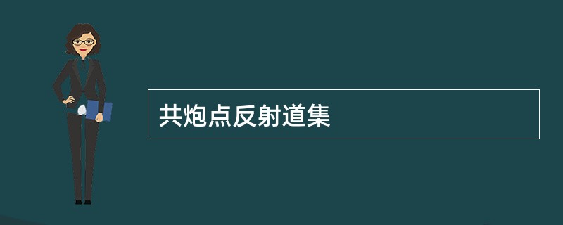 共炮点反射道集