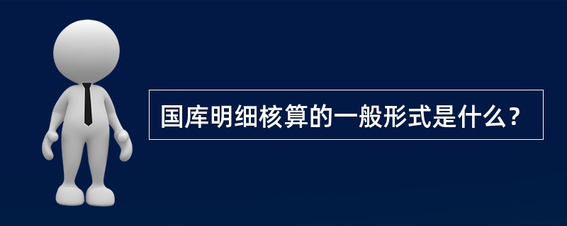 国库明细核算的一般形式是什么？