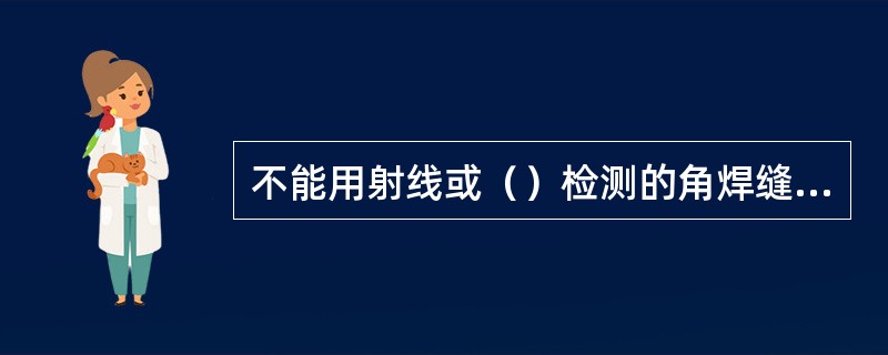 不能用射线或（）检测的角焊缝，可采用（）或渗透检测方法检查缺陷。