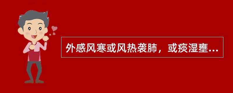 外感风寒或风热袭肺，或痰湿壅肺，肺失清肃，邪闭清窍所致的喑哑或失音，称为（）。