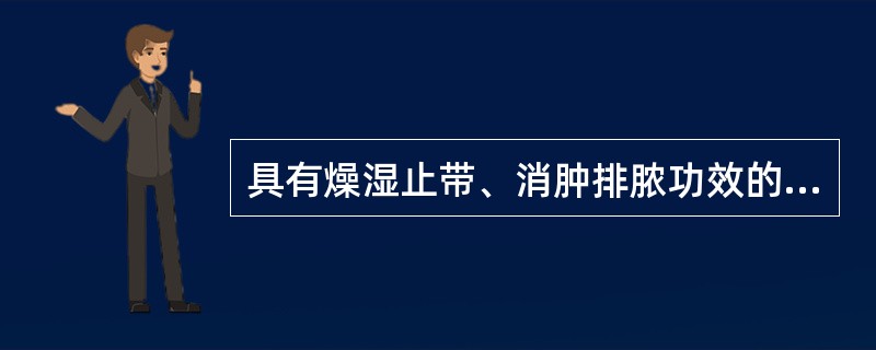 具有燥湿止带、消肿排脓功效的药物是（）。