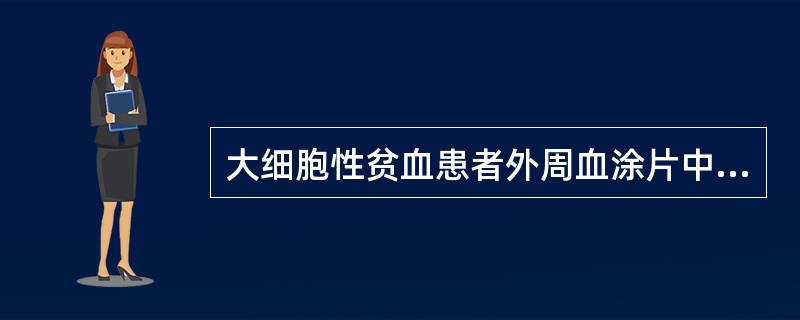 大细胞性贫血患者外周血涂片中易见到（）