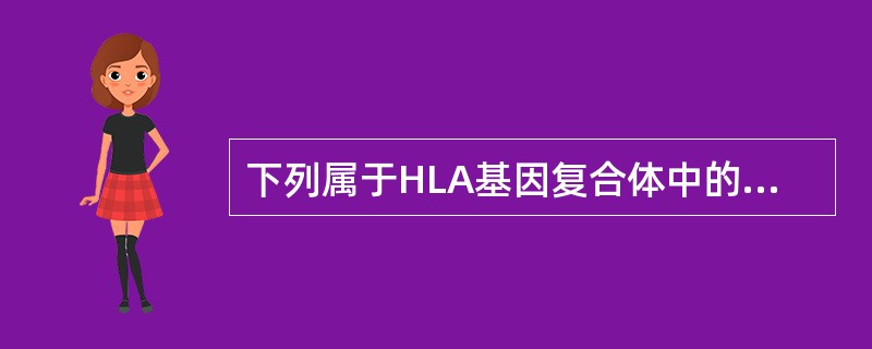 下列属于HLA基因复合体中的非经典Ⅰ类基因有（）