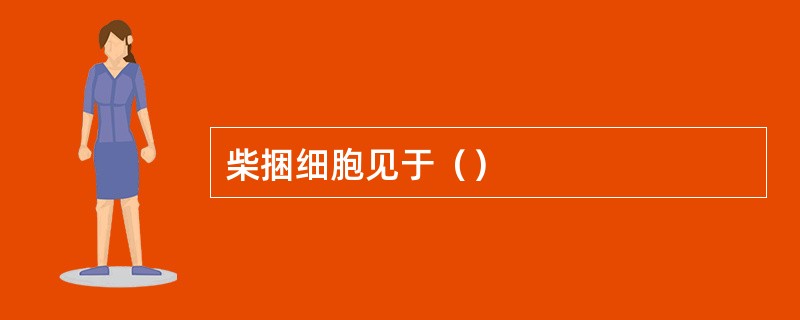 柴捆细胞见于（）