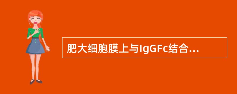 肥大细胞膜上与IgGFc结合的受体是（）