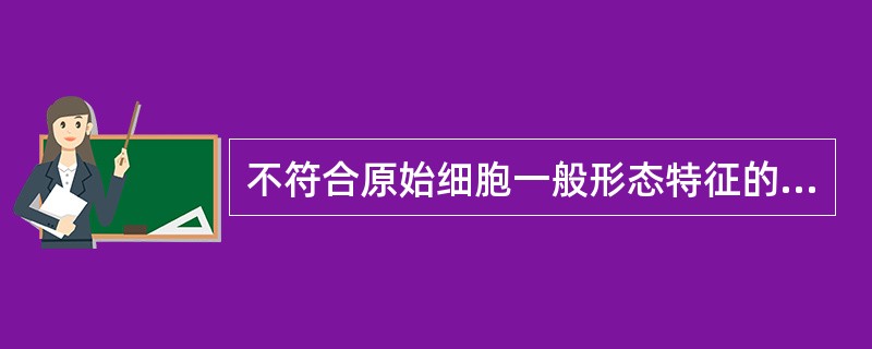 不符合原始细胞一般形态特征的是（）