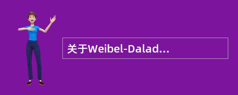 关于Weibel-Dalade小体正确的是（）