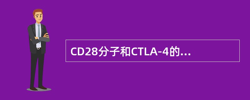 CD28分子和CTLA-4的共同配体是（）