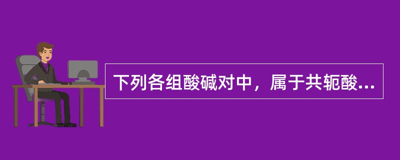 下列各组酸碱对中，属于共轭酸碱对的是（）。