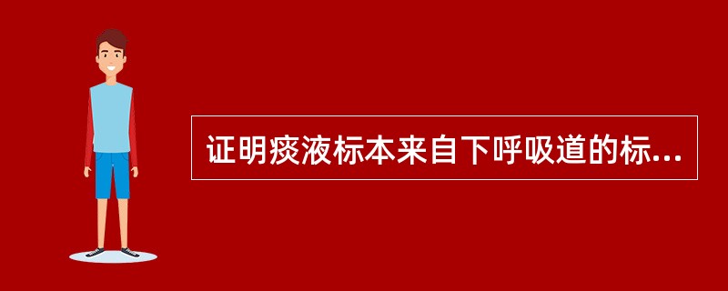 证明痰液标本来自下呼吸道的标志是（）